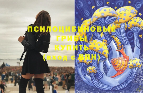 прущие крисы Абаза