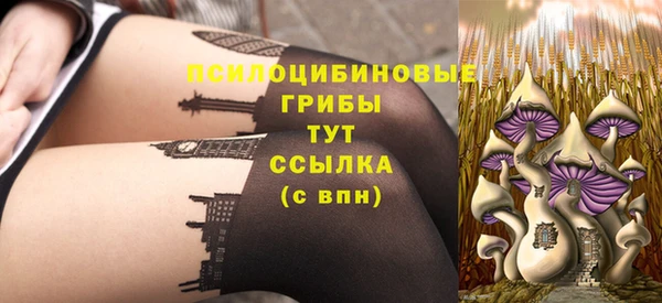 шишки Абинск