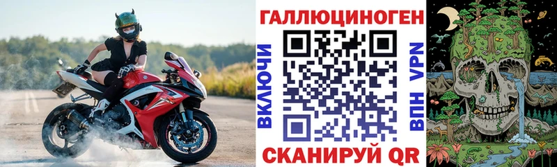 как найти Изобильный Галлюциногенные грибы Cubensis