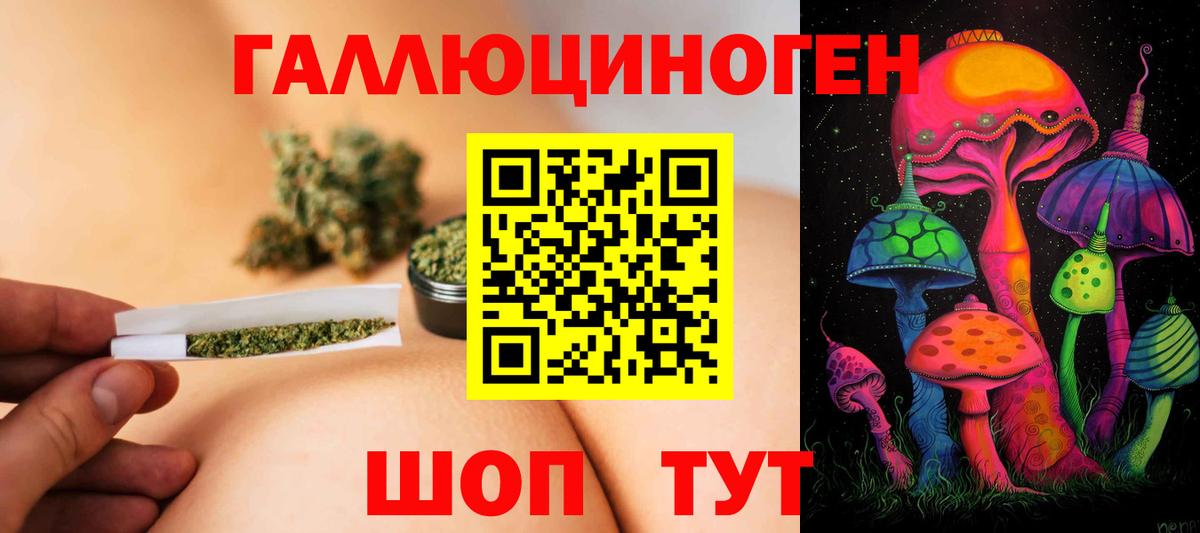 Псилоцибиновые грибы мицелий Изобильный