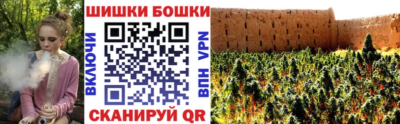 Каннабис OG Kush Изобильный