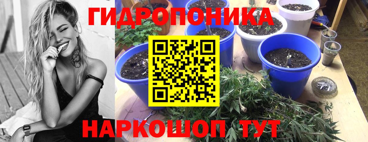 Изобильный  Шишки марихуана семена  Бошки Шишки White Widow  МАРИХУАНА тримм  Вход с VPN 